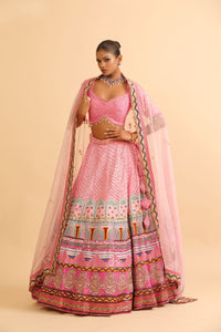 Pink Lehenga with Sequin Work & Chevron Embroidered Skirt